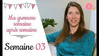 3ème semaine de grossesse – Les nausées [upl. by Corie394]