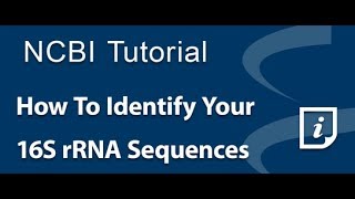 How To Identify Your 16S rRNA Sequences [upl. by Ettevi776]