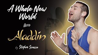 A Whole New World  Aladdin cover by Stephen Scaccia [upl. by Ybot]