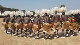 Bwola  The Acholi Royal dance [upl. by Guy]