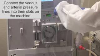 How to setup a dialysis Machine part II Hemodialysis Training [upl. by Zerep868]