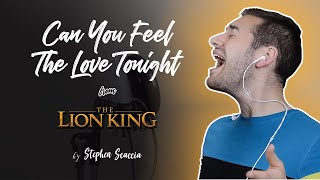 Can You Feel The Love Tonight  The Lion King cover by Stephen Scaccia [upl. by Turro474]