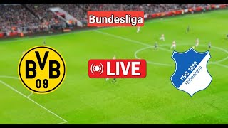 Borussia Dortmund vs TSG Hoffenheim Match Live  Bundesliga Live [upl. by Nnylsor532]