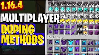 Minecraft 1165 ALL MULTIPLAYER DUPLICATION METHODS UPDATED How to Dupe on Minecraft Servers [upl. by Dugan]