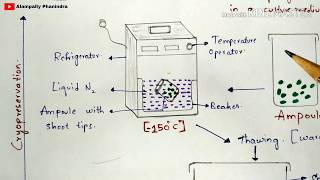 Cryopreservation technique with notes  Diagrammatic procedure  Applications  Bio science [upl. by Yenttirb]