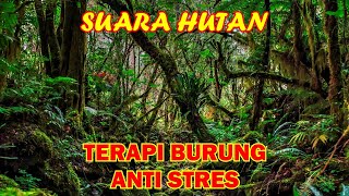 3 jam terapi burung anti stres suara hutan suara burung di alam liar dan suara air mengalir [upl. by Atnoed676]