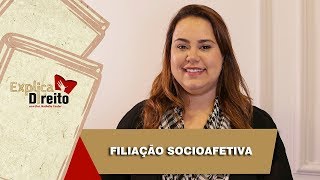 Explica Direito Filiação Socioafetiva  2019 [upl. by Acinemod]