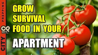 25 Survival Vegetables To Grow In Your Apartment pt1 [upl. by Giglio59]