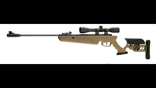 Swiss Arms TG 1 177 Cal 1400FPS Pellet Rifle Review [upl. by Hardie]