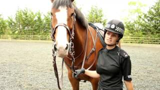 A Day in the Life  Police Scotland Mounted Unit [upl. by Higbee]