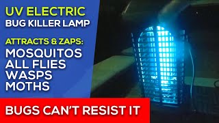 MOSQUITO Zapper in Action  Testing a 4000V UV Mosquito Killer Insect Zapper Lamp [upl. by Wolfy]