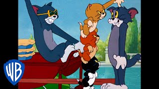 Tom amp Jerry in italiano  Classico Dei Cartoni Animati 103  WB Kids [upl. by Synned391]