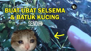 Buat kucing ubat selsema dan batuk mudah dibuat versi pendek [upl. by Ahsinot]