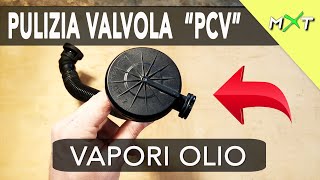 PULIZIA VALVOLA VAPORI OLIO PCV Manutenzione Completa [upl. by Lolita]