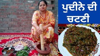 Pudina Chutney  Mint Chutney  Summer Recipe  Life of Punjab  Punjabi Cooking [upl. by Josepha]