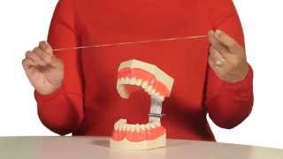 How to Floss Your Teeth [upl. by Ibrik]