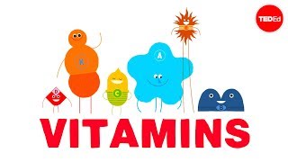 How do vitamins work  Ginnie Trinh Nguyen [upl. by Natsyrk]