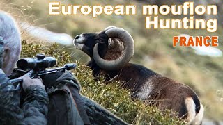 European mouflon Hunting in France  Chasse au Mouflon en France  2020 [upl. by Durning]