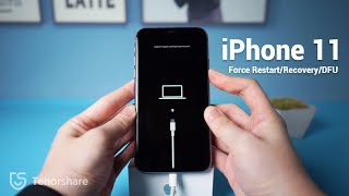 iPhone 11 How to Force Restart Recovery Mode DFU Mode [upl. by Adanama323]