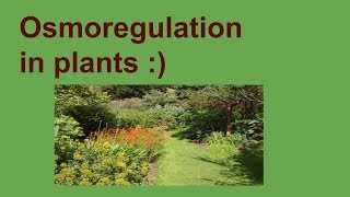 Osmoregulation in plants [upl. by Ingamar834]