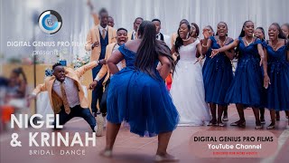 Nigel amp Krinah Bridal Entrance AFRICAN WEDDING DANCE [upl. by Eseneg]