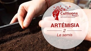 II Faire ses semis d’Artémisia Cultivonsnous  1 [upl. by Terese]