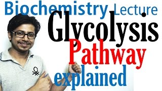 Glycolysis biochemistry [upl. by Egas]