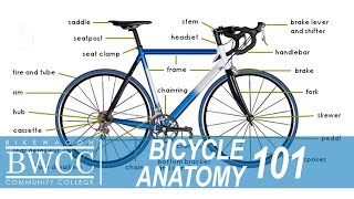 Bicycle Anatomy 101 Learn All the Parts of a Bike [upl. by Nirhtak882]