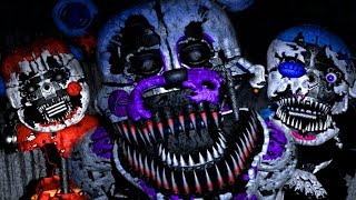 NEW NIGHTMARE FUNTIME ANIMATRONICS ATTACK  Babys Nightmare Circus Classic Mode NEW GAME [upl. by Hagile]