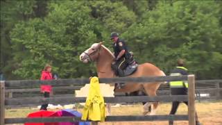 Mounted Police Training [upl. by Gesner]