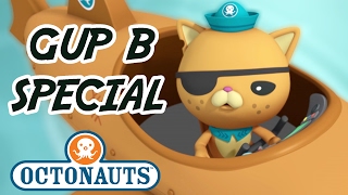 Octonauts  Gup B  20 minutes  Gups and Octonauts [upl. by Shea736]