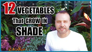 12 Vegetables That Grow in Shade [upl. by Onairotciv]