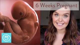 6 Weeks Pregnant What You Need To Know  Channel Mum [upl. by Enywad]