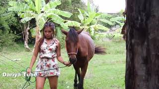 Fusaichi Pegasus With Owner Look After Horse at Farm Lovely Horse Video [upl. by Ayekal]