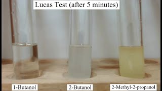 Lucas Test for Alcohols [upl. by Doloritas]