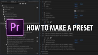 Premiere Pro How To Make A Preset [upl. by Ruelle]