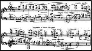 Alban Berg  Piano Sonata Op 1 [upl. by Siekram]