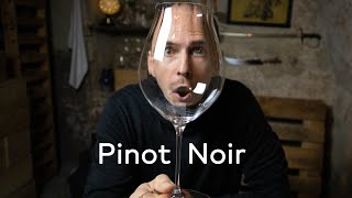 PINOT NOIR  WINE IN 10 [upl. by Ogdon760]