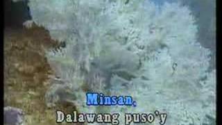 videoke  opm kastilyong buhangin [upl. by Einhapets]