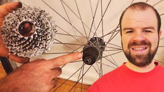 How to Remove the Cassette or Freewheel from Bike Wheels [upl. by Etnoved]