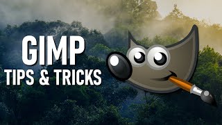 GIMP Image Editor Tips amp Tricks [upl. by Adamson534]