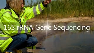 16S rRNA Gene Sequencing Service [upl. by Sudderth]