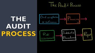 The Audit Process [upl. by Enutrof]