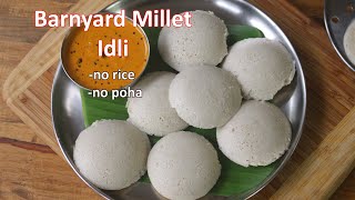 Barnyard Millet Idli Recipe  Soft Millet Idli Without Rice and Poha  Diabetic Friendly Recipe [upl. by Leacim150]