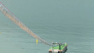 The Salmon Cannon’ sorts and shoots fish over a dam [upl. by Asillam]