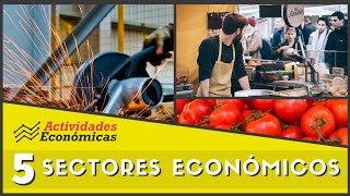 Los 5 sectores económicos Economía Ejemplos y características [upl. by Daggna281]