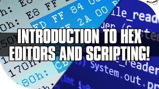 Introduction to Hex Editors and Scripting [upl. by Etnuahc]