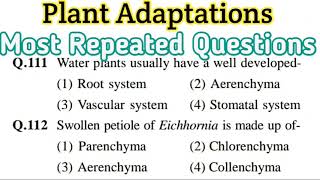 adaptations in plants  hydrophytes  xerophytes  ecology mcq  ecosystem mcq [upl. by Purington]