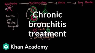 Bronchial and Vesicular Breath Sounds [upl. by Lecrad]