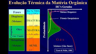 Geologia do Petróleo Aula 03 Geoquímica do Petróleo [upl. by Adnertal463]